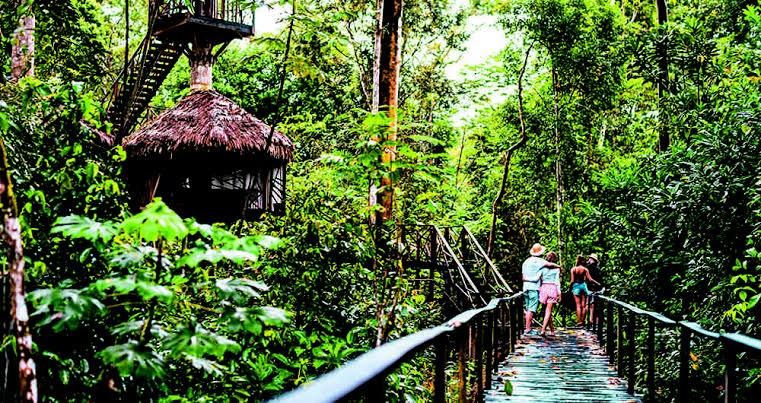 Selva y rio Amazonas Leticia